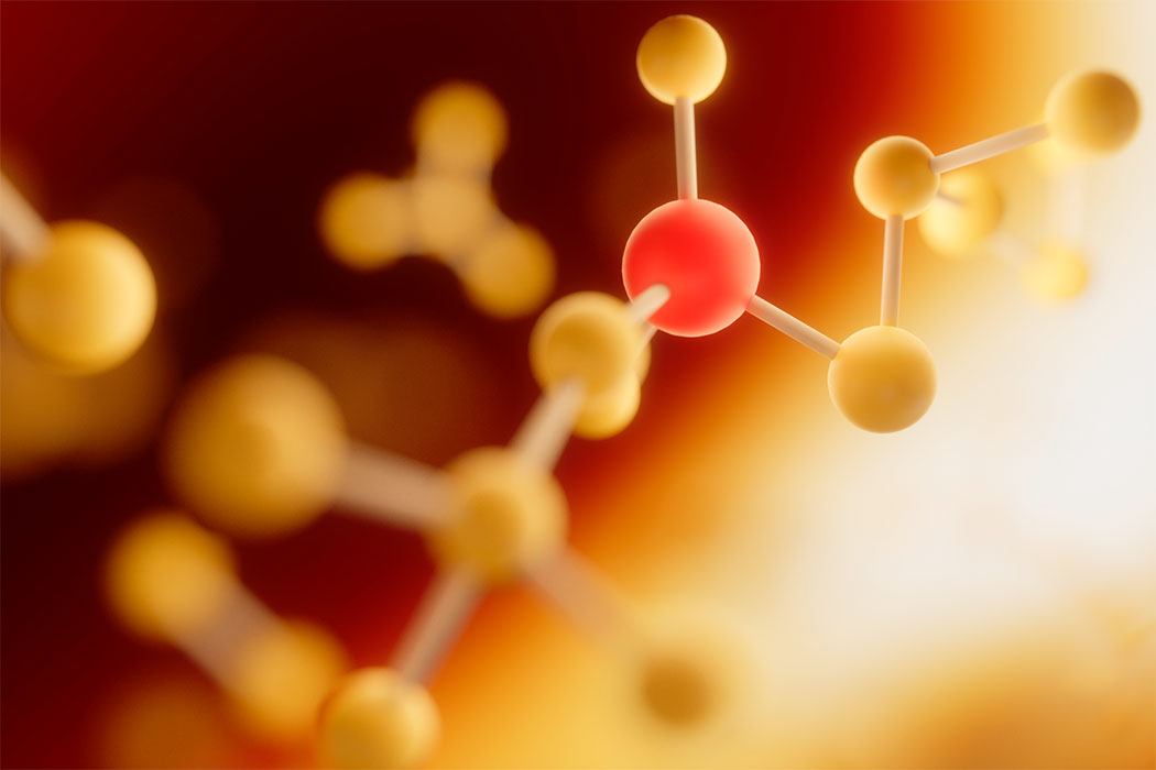 Amino Acids & Derivatives